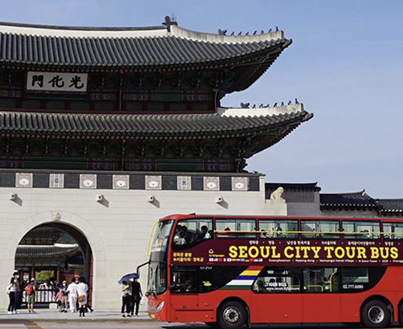 서울 시티투어버스 타이거 예약방법 가격 남산 노선 단풍 야경 꿀팁