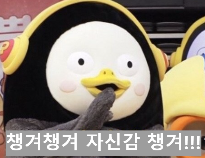 자시감챙겨 펭수