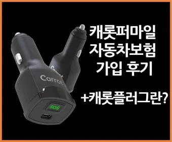 캐롯 다이렉트 자동차보험 장단점과 가입 전 알아둘 점 체크포인트_9