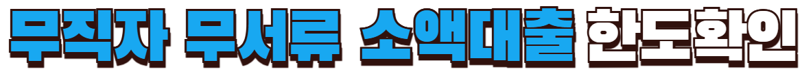 무직자 무서류 소액대출 한도확인