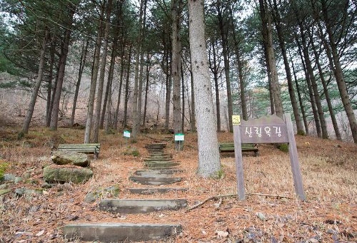 강원도 가볼만한곳 이미지 입니다.