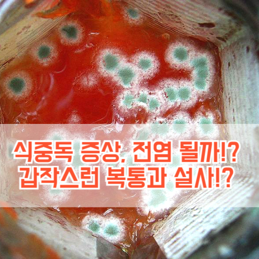 식중독 증상, 전염 될까!? 갑작스런 복통과 설사!?