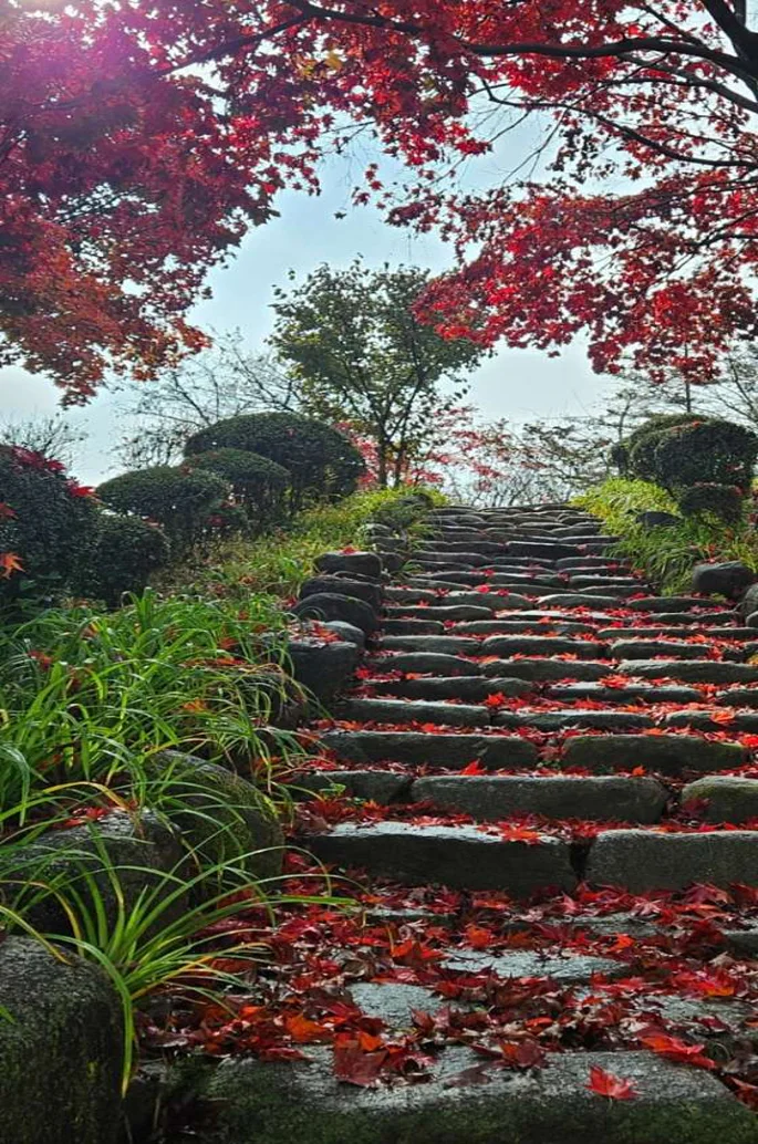 무궁화공원