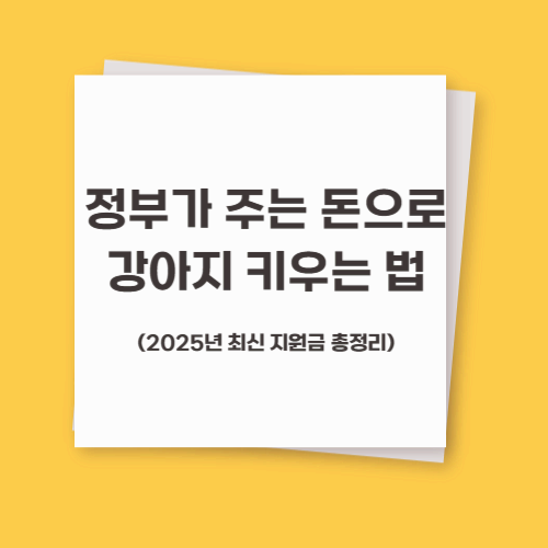 정부가 주는 돈으로 강아지 키우는 법 (2025년 최신 지원금 총정리)