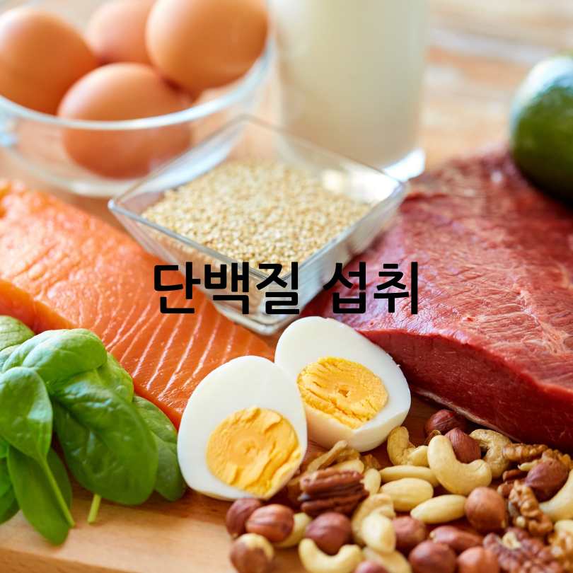 근육과암