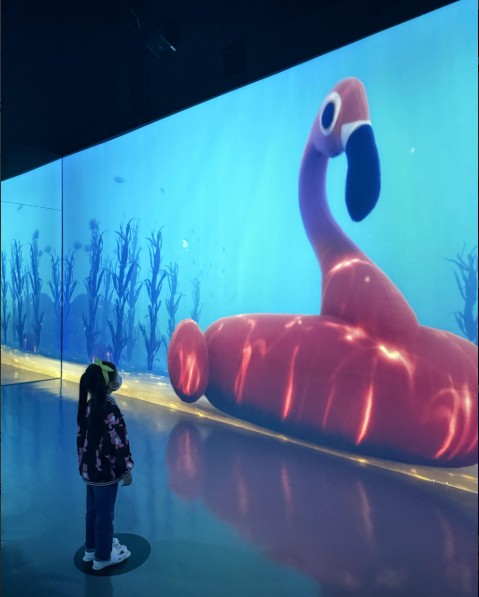 여수 아르떼뮤지엄 이미지