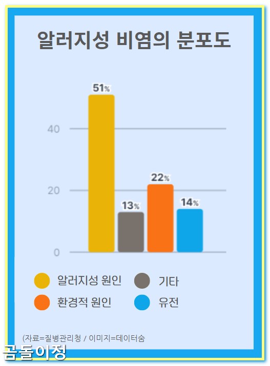 만성비염 극복 후기 광선치료로 코막힘 사라진 리얼 체험담