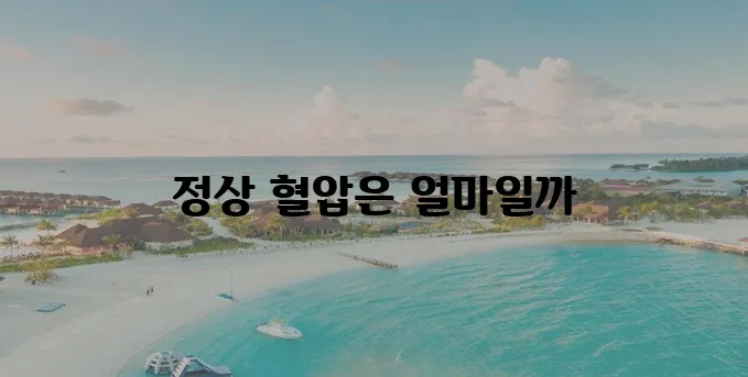 혈압 정상 수치 범위 기준에 대한 안내입니다.