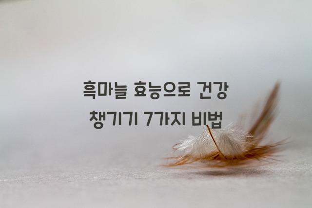 흑마늘 효능