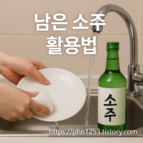 Alt 속성 문제 해결 설명 이미지