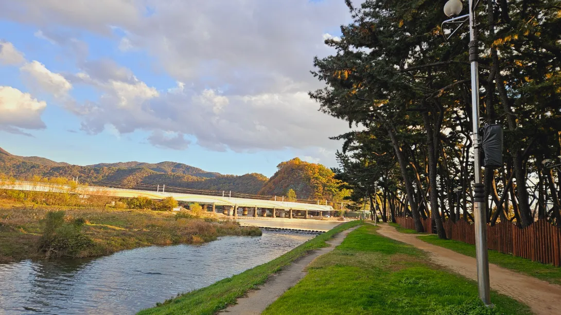 밀양 맥문동 맨발걷기