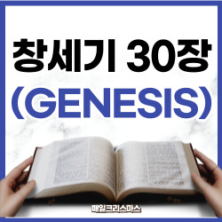[성경문제] 창세기 30장 1-43절 요약