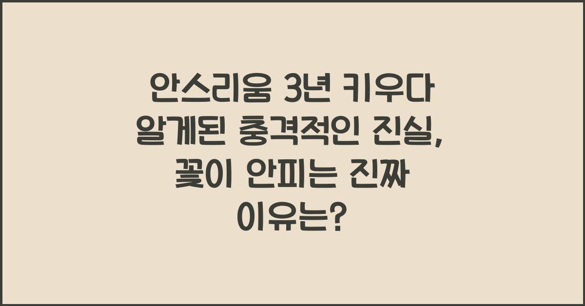 안스리움 3년 키우다 알게된 충격적인 진실, 꽃이 안피는 진짜 이유