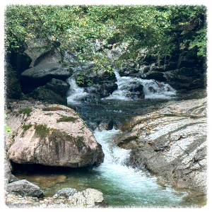 지장산계곡