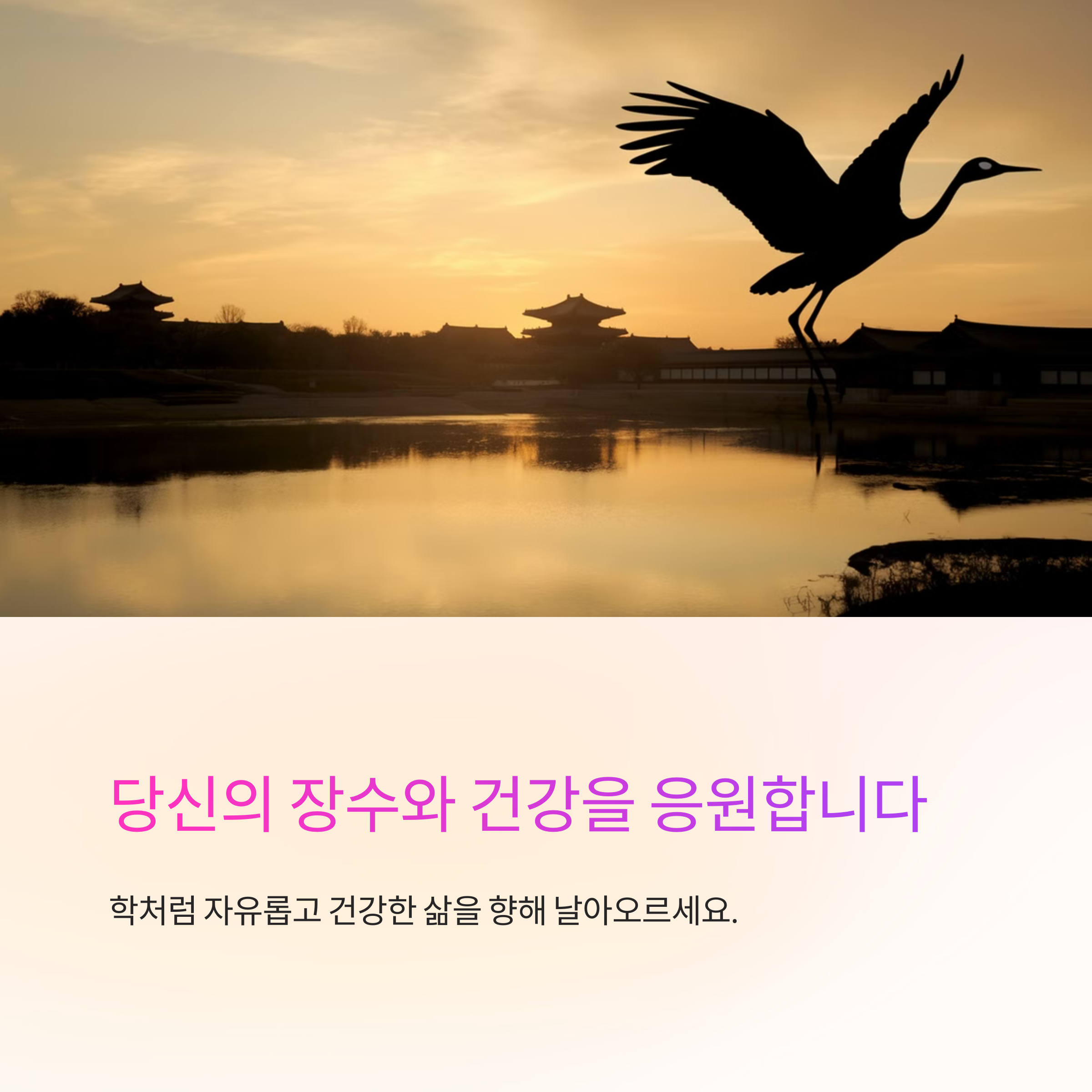 학이 하늘을 나는 꿈