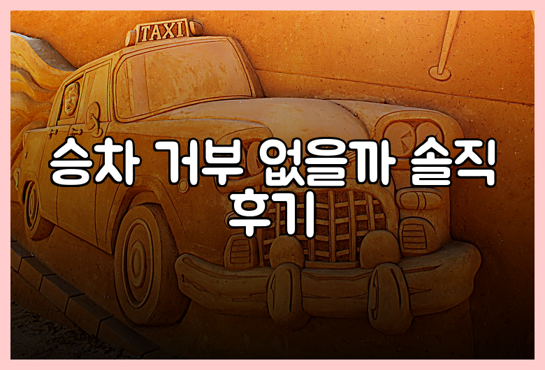 승차 거부 없을까 솔직 후기