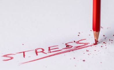 스트레스 영어 스펠링