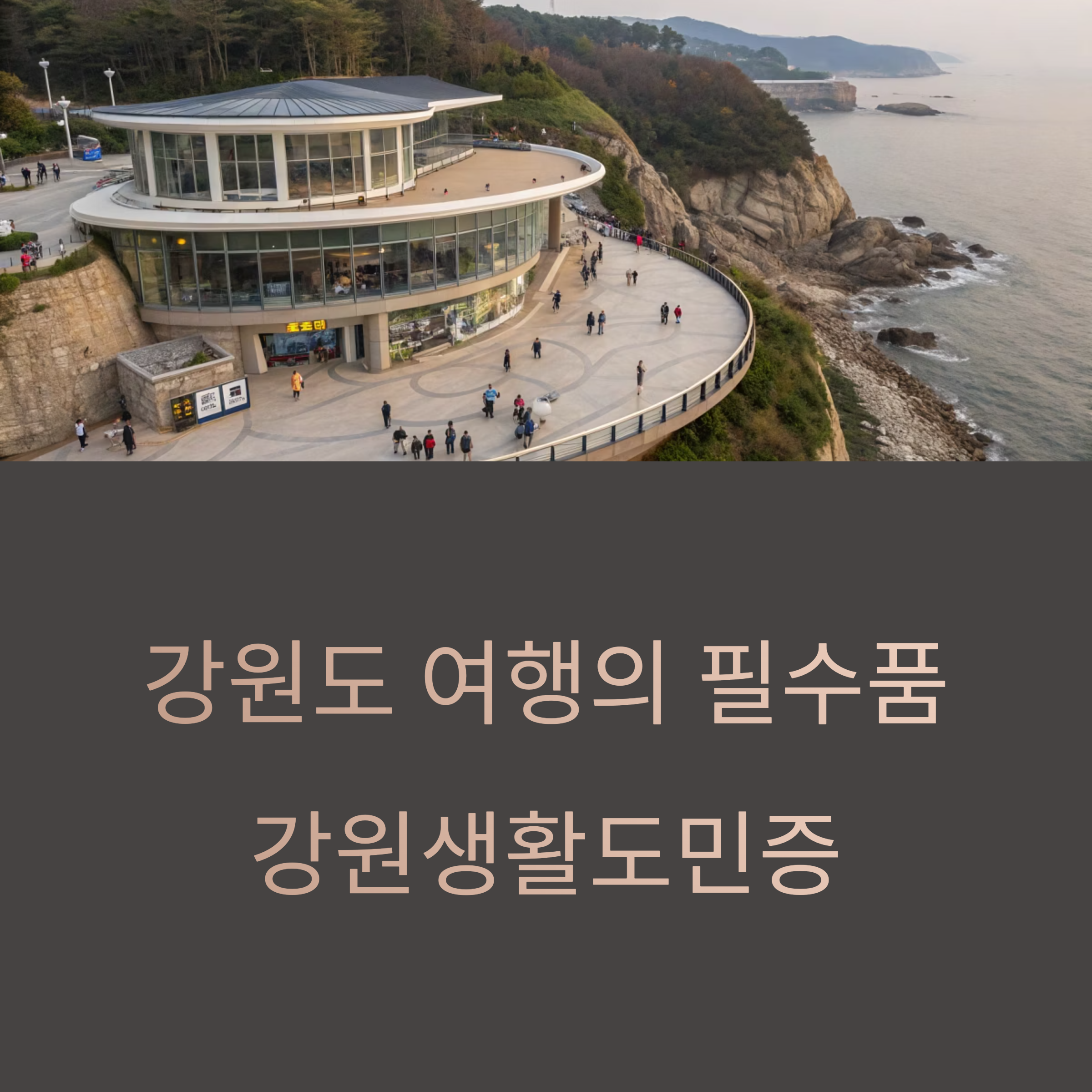 강원생활도민증
