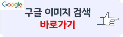 구글 이미지 검색