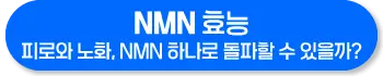 NMN 효능 효과