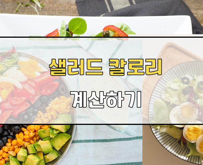 샐러드 칼로리 계산