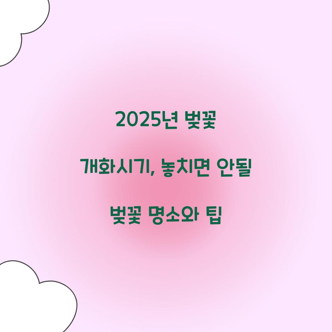 2025년 벚꽃 개화시기