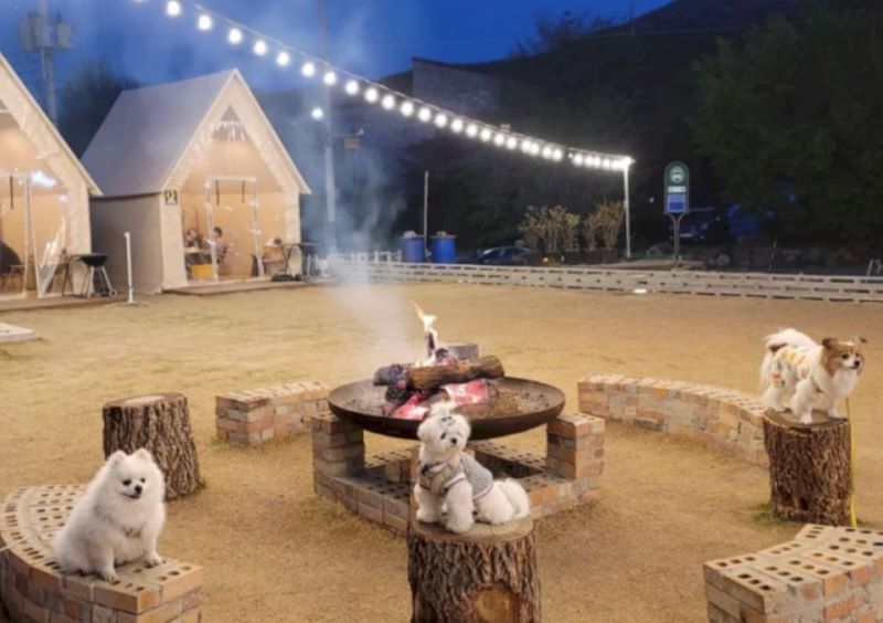 반려견 동반 여름 여행-가평 계곡 펫글램핑