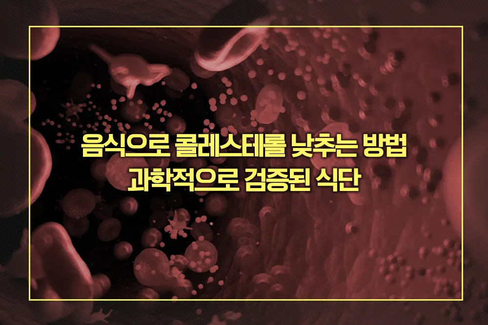 음식으로 콜레스테롤 낮추는 과학적으로 검증된 식단