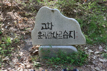 2025 여름 시원하고 조용한 국내 여행지 TOP5｜북적이지 않아 더 좋은 피서지 추천