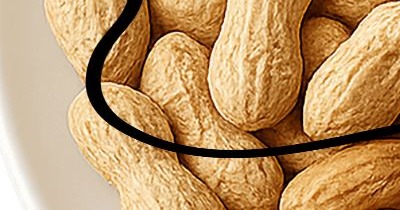 폐에 좋은 음식 10