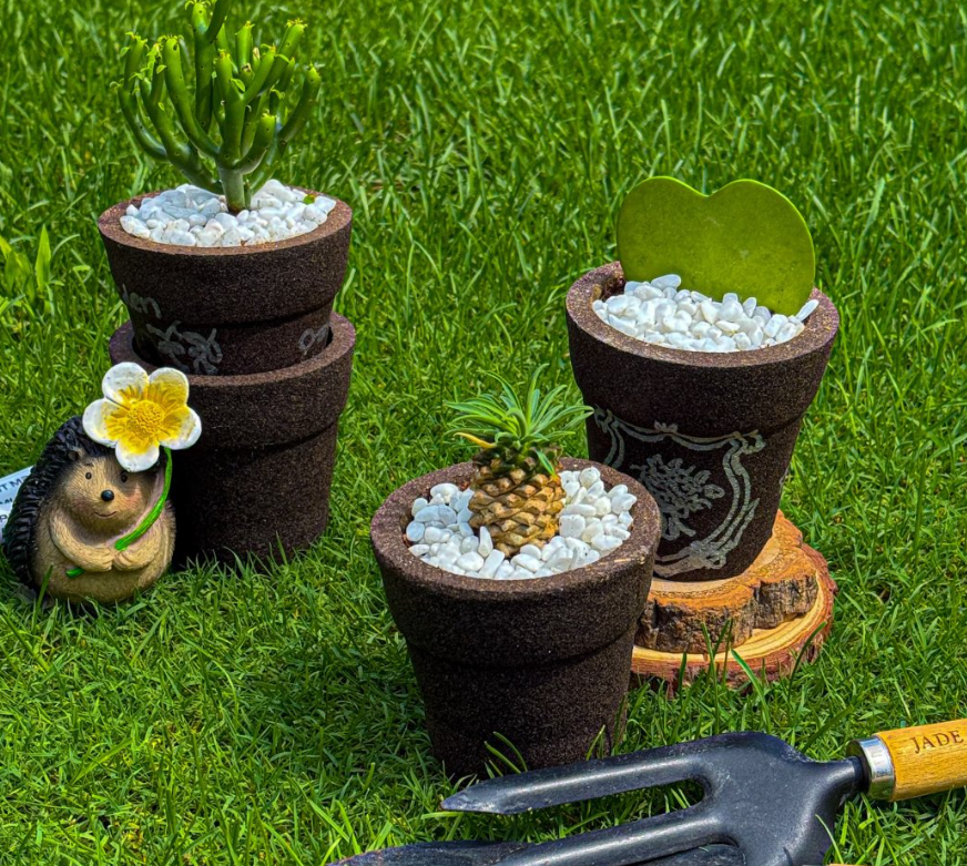 재사용 커피박 화분과 반려 식물