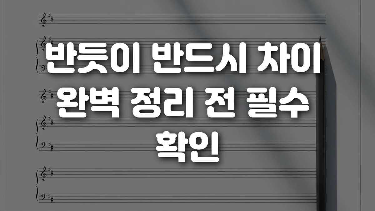 반듯이 반드시 차이 완벽 정리 전 필수 확인