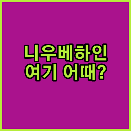 위트레흐트 니우베하인 호텔 추천! 특..