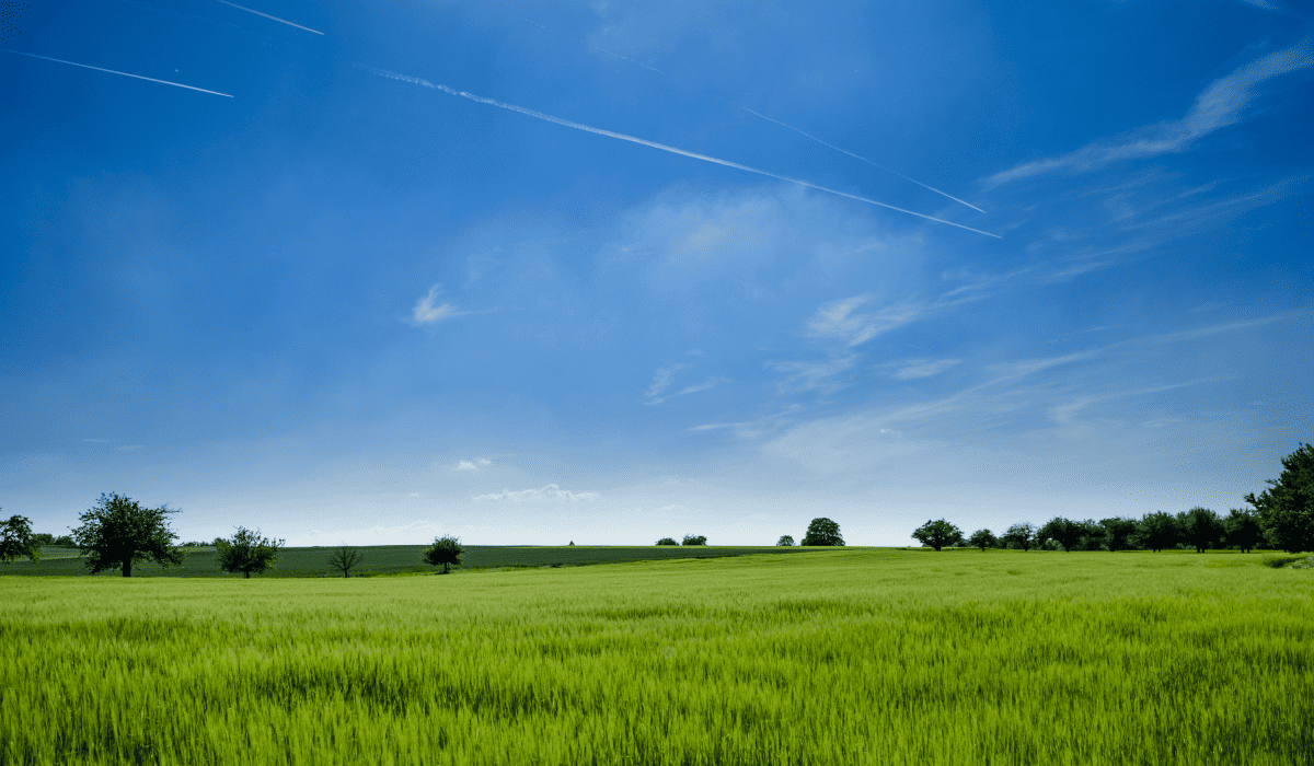 토지이용계획확인원_무료열람_2