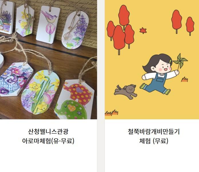체험행사