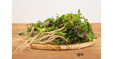 냉이 사진