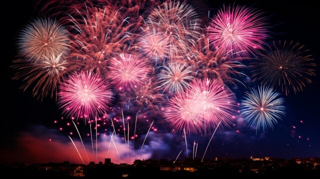 2025 여의도 불꽃축제