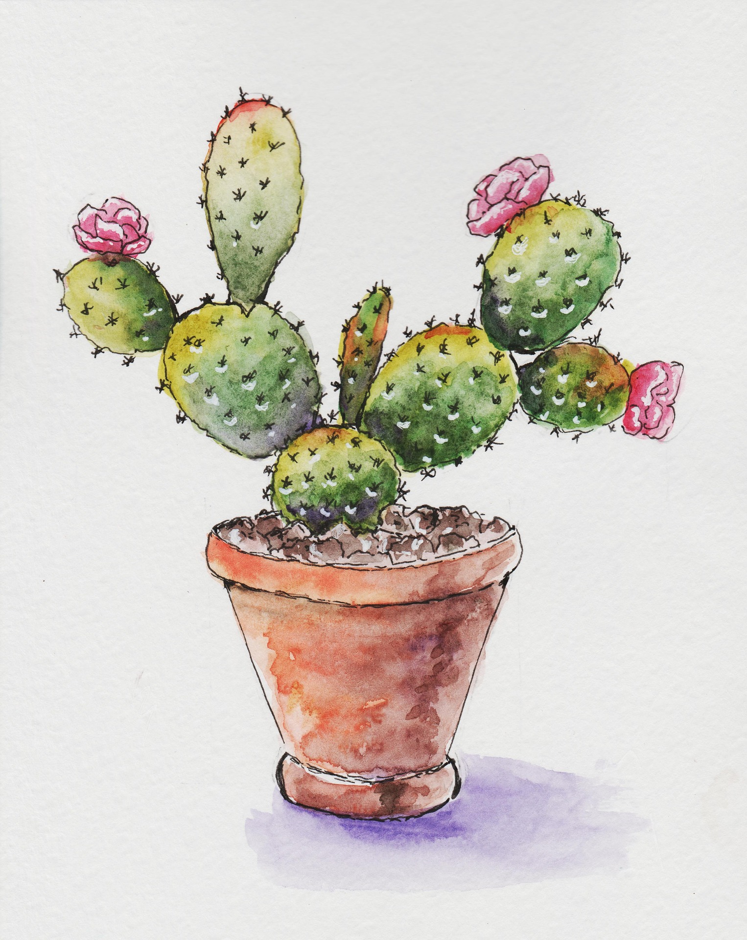 항문질환과 잘못된 배변 습관의 관계