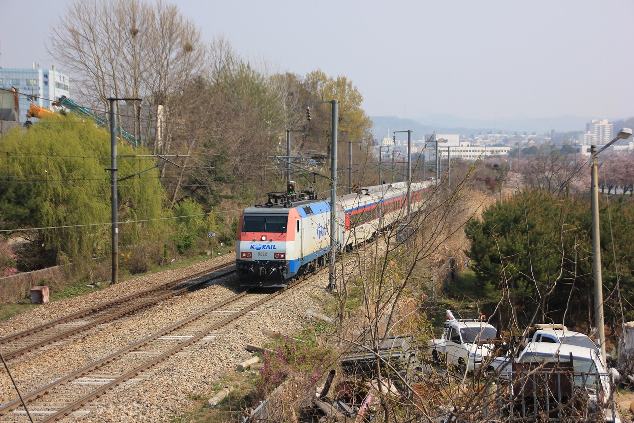 [2025 최신] 6월 1일 무궁화호 중앙선&middot;태백선&middot;영동선 시간표&middot;요금 총정리! 완벽 비교 가이드