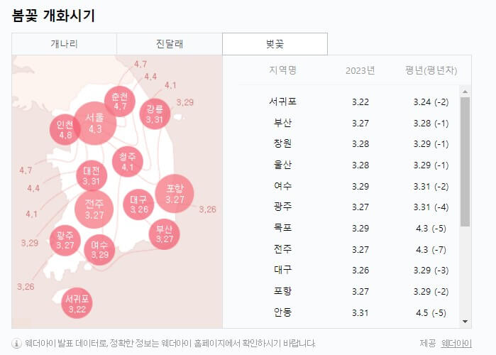 2023년-벚꽃-개화시기