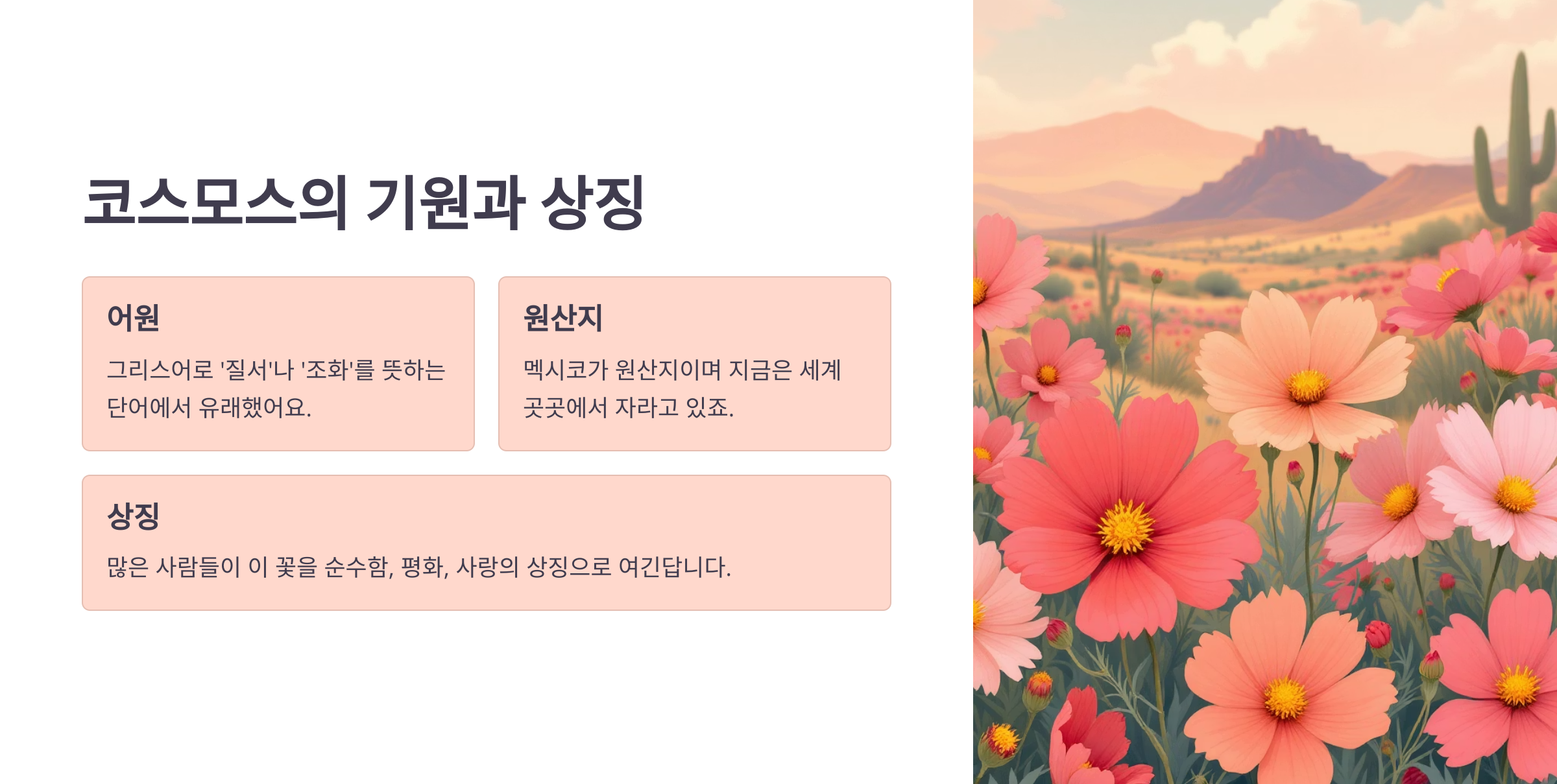 코스모스