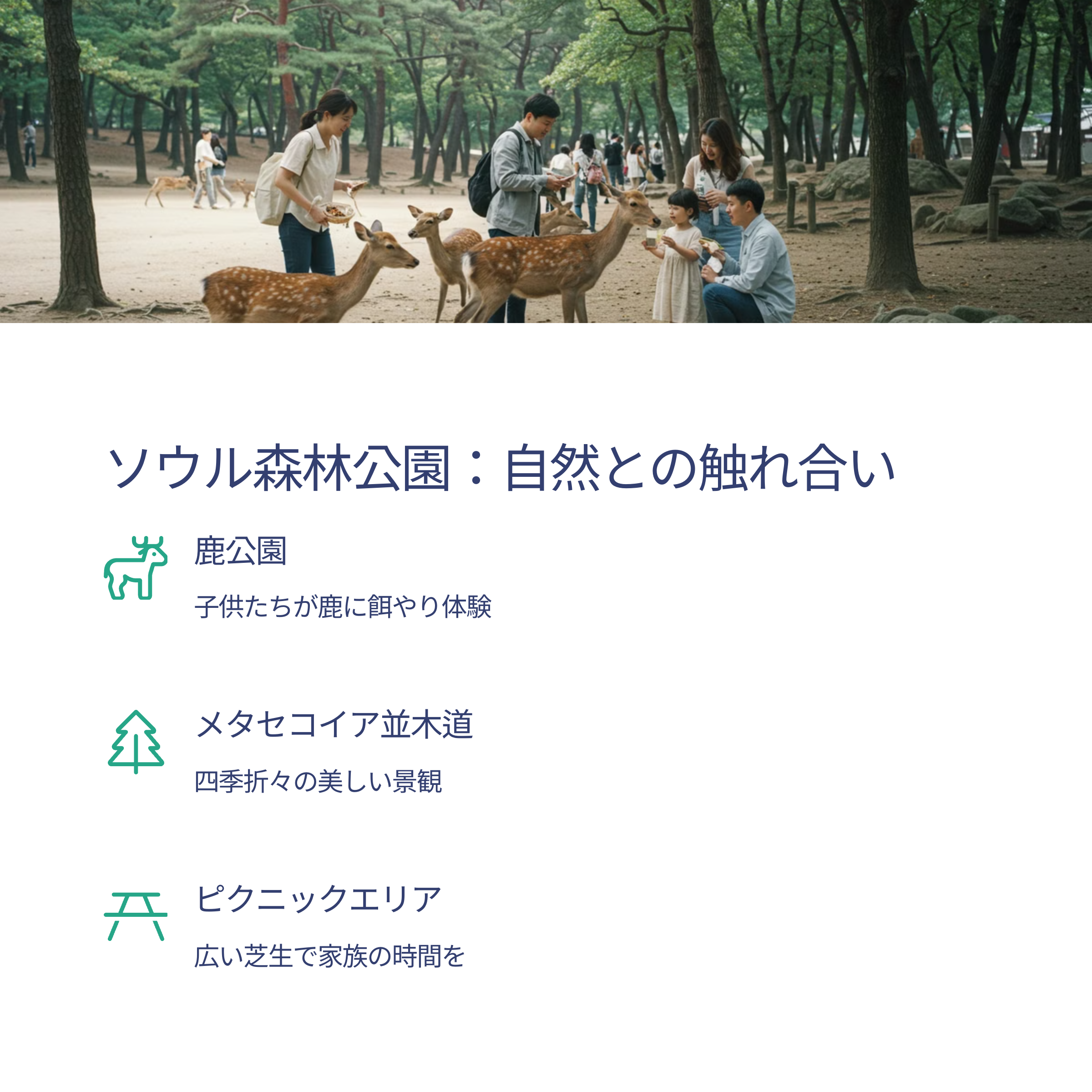 ソウル家族向け無料観光スポットTOP5