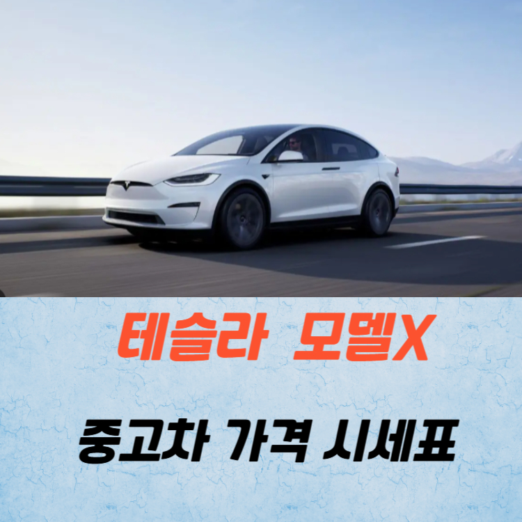 테슬라 모델X 중고차 가격 시세표 유지비