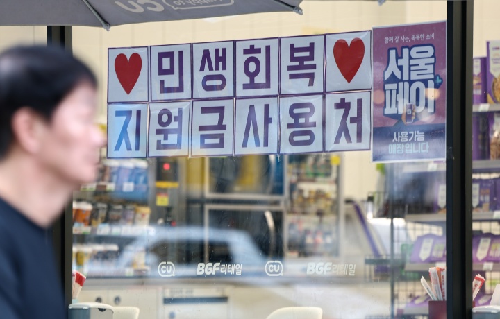 민생지원금 25만원 총정리