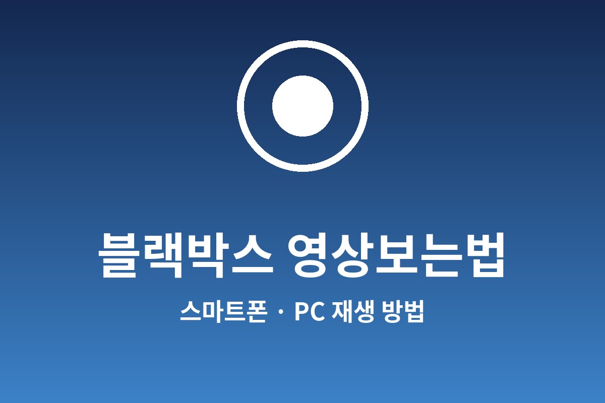 블랙박스 영상보는법