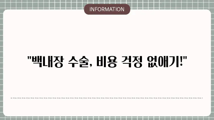 백내장 수술 지원: 