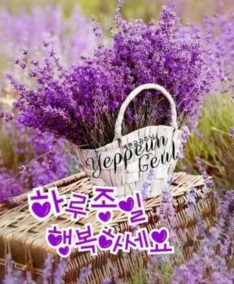 아침인사 이쁜글 다운로드_2