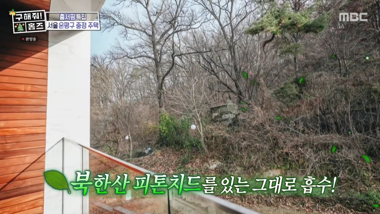구해줘홈즈 은평구 진관동 창밖을 보라 중정이 보인다 주택 인테리어 리모델링 파도파도 홈서핑 성탄 특집 소개