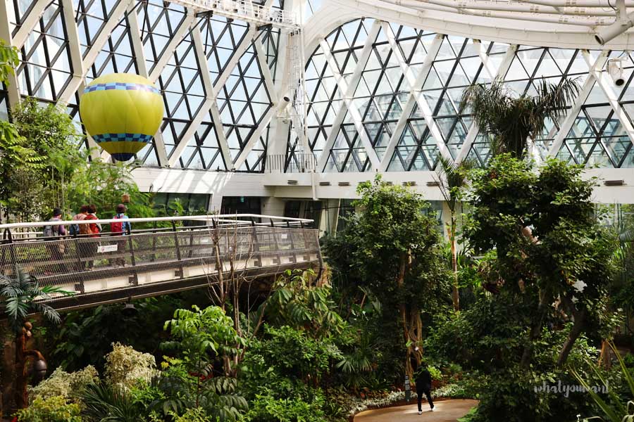 서울식물원 완벽 가이드: 온실