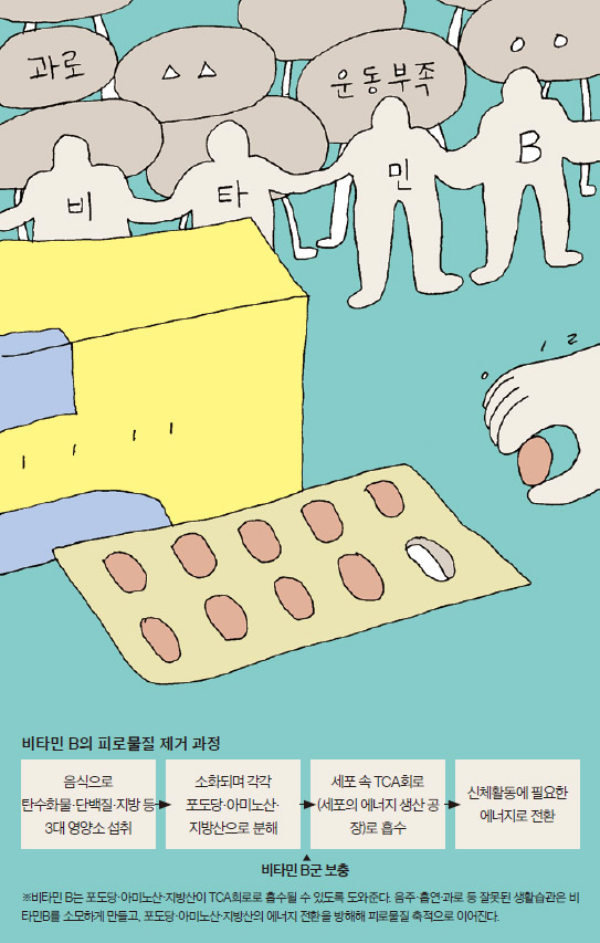 비타민 B군과 기억력의 관계